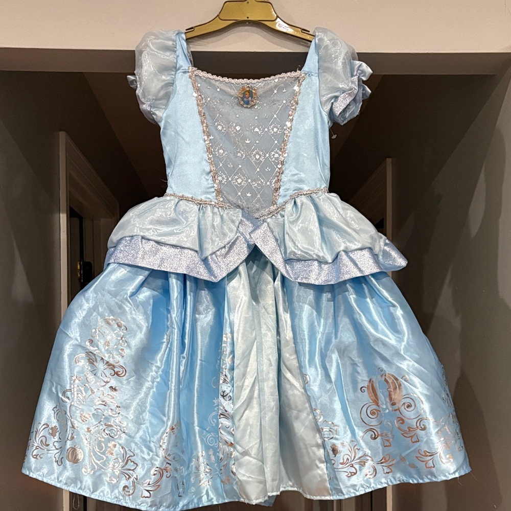 Disney Light Blue Princess Dance Costume